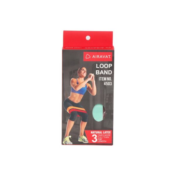 AIRAVAT LOOP BAND 4503 - Image 2